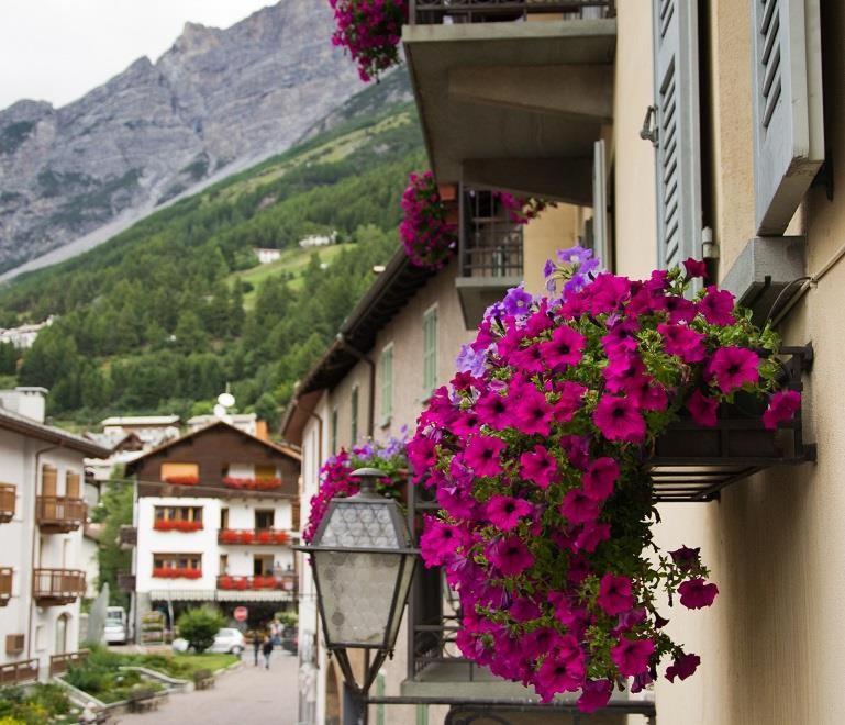 Meuble Albergo Dante บอร์มิโอ ภายนอก รูปภาพ